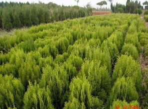 價(jià)格 廠家 Hc360慧聰網(wǎng)