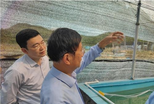 紅九棘鱸苗種批量化培育項(xiàng)目通過(guò)現(xiàn)場(chǎng)驗(yàn)收